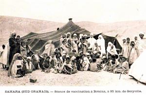 23- Oranie - Sud oranais Bresina